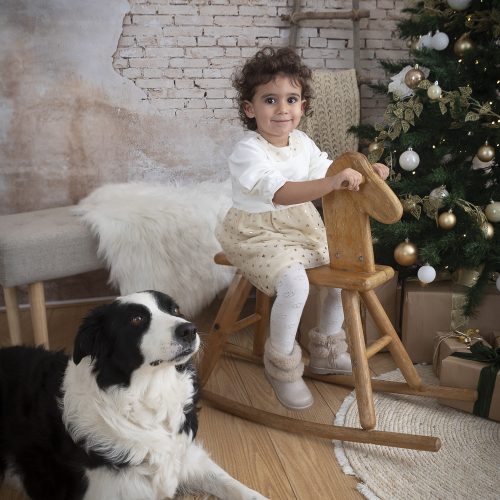 bimba piccola su cavallino di legno con albero di natale con border collie (1 di 1)